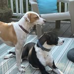 Karin Volsky Tucker - @karintucker313 - Instagram