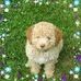 Karin Unger - Facebook