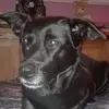 karinunger580 - @karinunger580 - TikTok