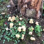 Karin Vaughn - @karin.vaughn.391 - Instagram