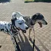 Karin Vincenti - @karin.vincenti - TikTok