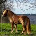 Karin Vogt - Facebook