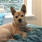Karin Vogt - @vogtkaw - Instagram