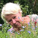 Anna Karin Waller - @linblomman8 - Instagram