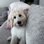 Karin Westervelt Walsh - @walshka56 - Instagram