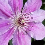 Karin Walters - @karin.walters1 - Instagram