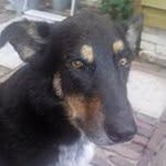 Karin Wattel - @karinwattel - Instagram