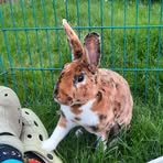 Karin Weber - Facebook