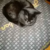 karinweber948 - @karinweber948 - TikTok
