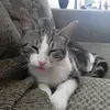 Karina Weeks - @karinaweeks18 - TikTok