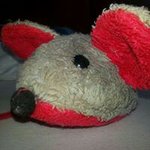 Karin Bear Weiler - @karinbear - Instagram