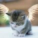 Karin Weiler - Facebook