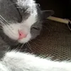 karin Weinmann - @kt.weinman - TikTok