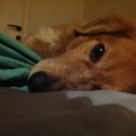 Karin Weinstein - @13kayz - Instagram
