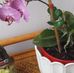 Karin Weiss - Facebook