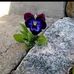 Karin Weiss - Facebook