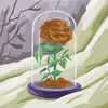 karen wentzel - @karen.wentzel - TikTok