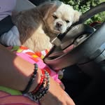 Karin Lee Wertheim - @karinwertheim - Instagram