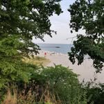 Karin Wollwerth - @karinwollwerth - Instagram