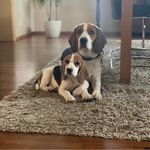 Karin Wilder - @karinwilder - Instagram