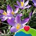 Karin Wilhelm - Facebook