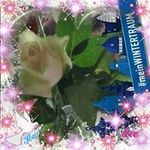 Karin Wilhelm - @karin.wilhelm.75033 - Instagram