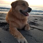 Karin Wilkinson - @karinfromdfb - Instagram