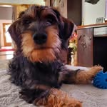 Karin Willi - @karin.willi.735 - Instagram