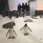 Karin Wills - @karin.wills.5 - Instagram