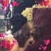 Karin Wolfe - Facebook