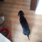 Karin Wulff - @karin_wulff - Instagram