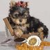 Karin York - Facebook