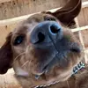 karina.bean - @karina.bean - TikTok