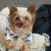 Kari Baird - Facebook