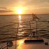 Karin Burrows - @karin.burrows - TikTok