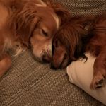Karin Cartwright - @cartwrightkarin - Instagram