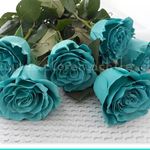 Karina Cobos Schrader - @cobosschrader - Instagram
