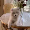 Karina Frey0 - @karinafrey27 - TikTok
