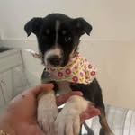 Karina Gardea - @karina.gardea.3979 - Instagram