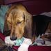 Karina Geenen - Facebook