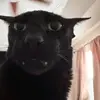 Karinaaa 🖤🖤 - @karinagrace120 - TikTok
