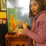 Karina Greenleaf - Facebook