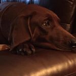 Karin Bately-Hubbard - @hubbard63 - Instagram