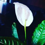 Карина Келлер - @keller_karina38 - Instagram