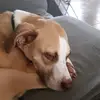 Karina Keller - @hanging.with..my_gnomies - TikTok