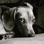 Karina Kenny Long - @karinalong - Instagram