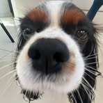 Karina Ma - Facebook
