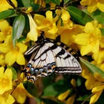 Karin Hicks - Southern Meadows - @southern_meadows - Instagram