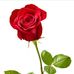 Carina Murillo - Facebook
