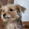 Karina Serna - @karina.serna67 - TikTok